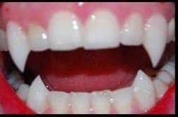 Tops & Bottoms - $100.00