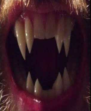 Wolf Beast - $250.00