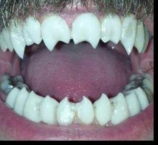 HSJ Hybrid - $750.00