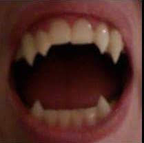 Lady Goth Fox - $150.00