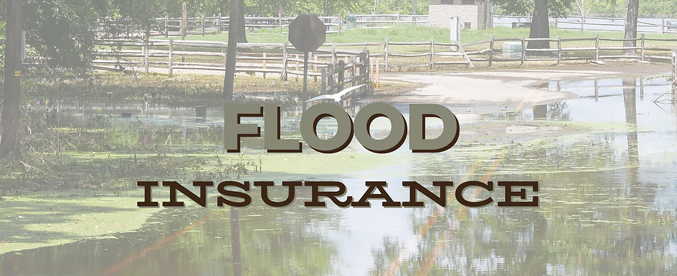CIB_FLOOD INSURANCE.png