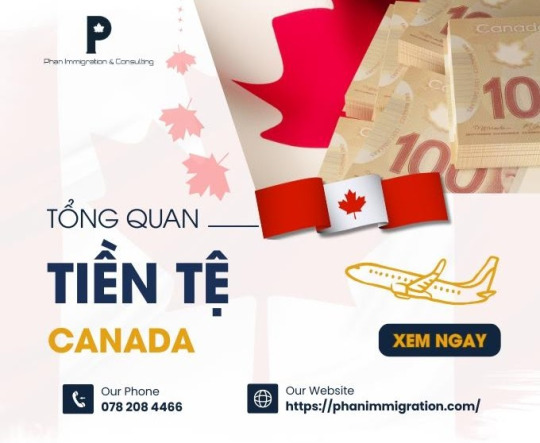 Tổng quan về tiền tệ Canada – Các mệnh giá và tỷ giá hiện tại