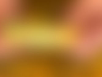 High Protein Veggie Egg Bake Recipe with Everything Bagel Flavor