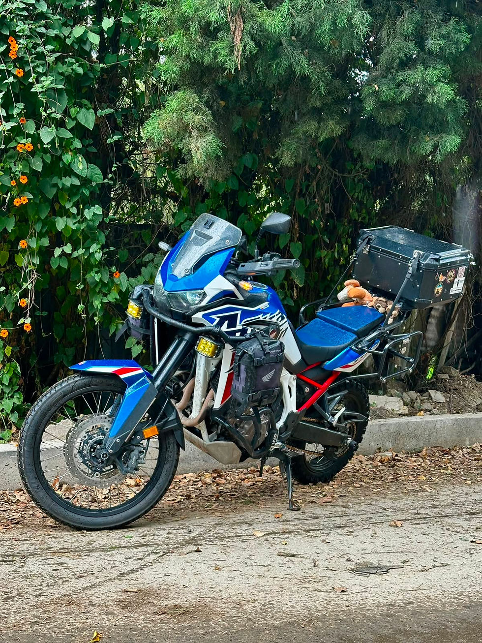Miniatura: HONDA AFRICA TWIN ESTÁNDAR 2023