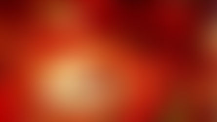 How-to-Host-an-Elegant-Valentines-Celebration