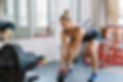 muscle-building-blueprint_edited.jpg