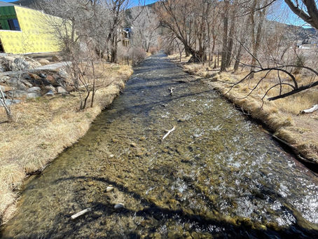 Funding Secured for 100% Design and Permitting on the Two Rivers Reach of the South Arkansas River Restoration Project in Salida, CO