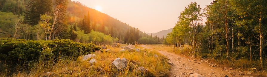 Copy of Dirt trail outside of Lost Lake in Colorado_edited.jpg