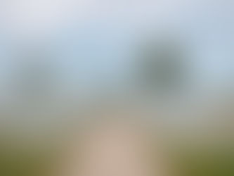 Summer Weddings in Toronto: What’s Trending in 2025