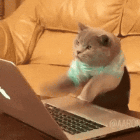 typing-cat-typing.gif