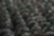 Army Soldiers At Parade