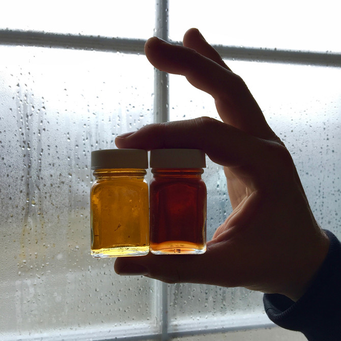 Single Source Maple Terroir: Nature makes the difference.