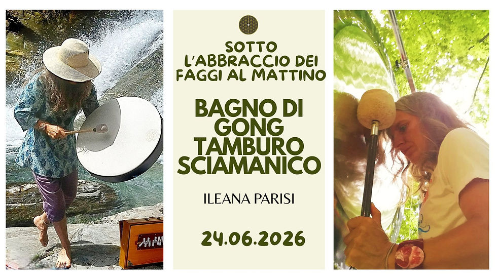 BAGNO DI GONG E TAMBURO SCIAMANICO SOTTO L'ABBRACCIO DEI FAGGI AL MATTINO