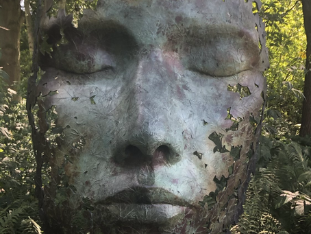 Yoga Nidra