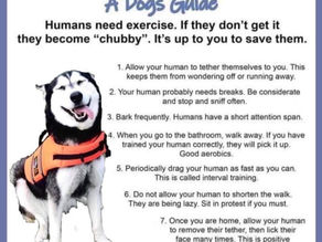 Spring is Here So Get Out and Walk!