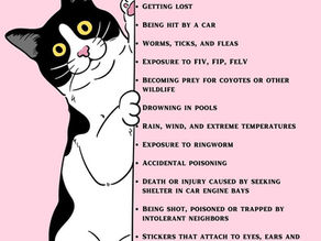 Good Reasons to Keep Your Cats Indoors!