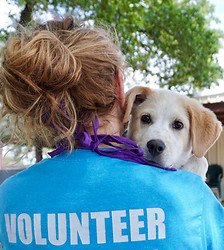 Volunteer 1.jpg