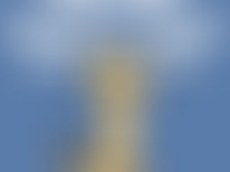 They Don't Let Anything Stand in Their Way!