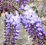 DSC05831_edited.jpg