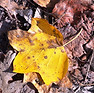 DSC07951_edited.jpg