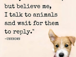 A Conversation with an Animal Always Puts a Smile on My Face!