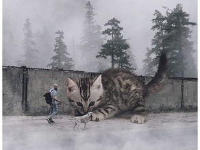 I Think Every Wall Should Look Like This!