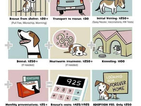 Do You Have Room for One More?