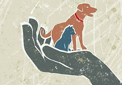waissman_pets_in_hand_illus_edited.jpg