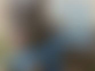 Make a Homeless Dog Happy!