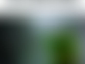 How Many Calories Should I Eat in a Day? (Weight Loss Guide)