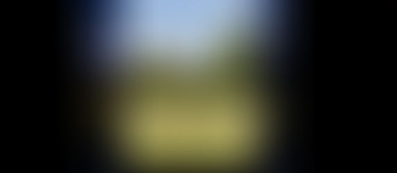 Love and thrive: Live