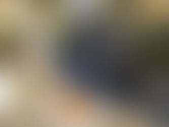 Personalize Your Patio with PAVERART!