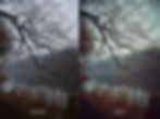 before-after. december free preset for lightroom and camera raw