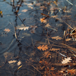 Photographer in Toronto