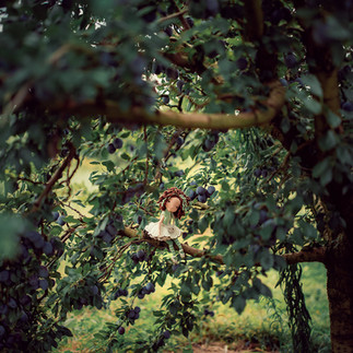 Crochet doll outdoor photoshoot in orchard during fruit picking