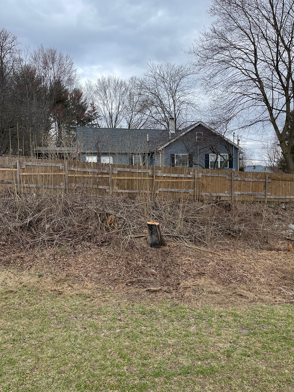 Hazardous tree removal by Jillian’s Group LLC in Poughkeepsie New York