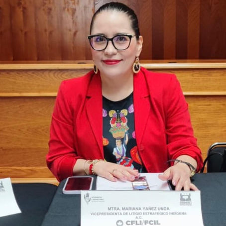 Mariana Yáñez, vicepresidenta de Litigio Estratégico Indígena, integra el Consejo Consultivo del “Manual de la intérprete y orientadora comunitaria”