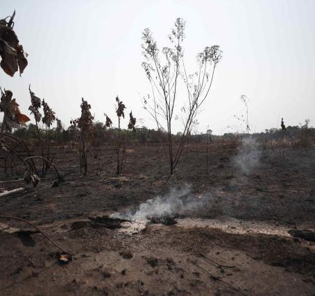 Más de 420 mil niños y niñas padecen una sequía sin precedentes en la región amazónica
