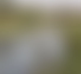 Sentencias que ordenan, ríos que esperan: la ejecución pendiente del amparo en México