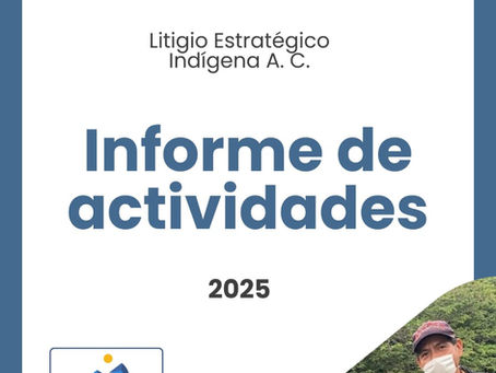 Informe de actividades 2025. Litigio Estratégico Indígena