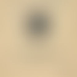 Litigio Estratégico Indígena comparte propuestas para fortalecer la nueva Constitución de Oaxaca