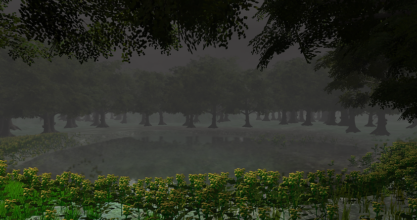 Forest2.png