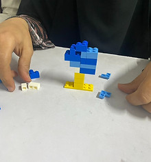 S__223698959_0.jpg