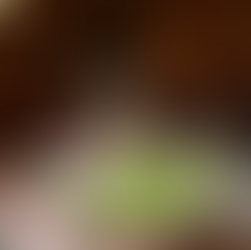 The salad features Terramor Farm greens, almonds, and parmesan.