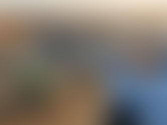 Consultorías Ambientales en Bogotá