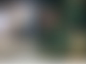 Il primo giorno d’inverno a Messina nel Natale della RiNascita