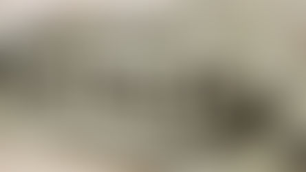 Lactalis: contaminazione salmonella. Coinvolte 83 nazioni