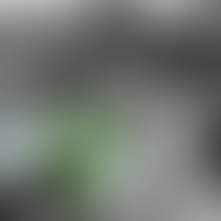 “350 euro a profugo ucraino” Parte il business dell’accoglienza. La decisione del Governo