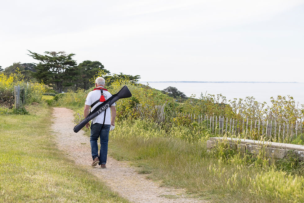 Миниатюра: TEMO 450