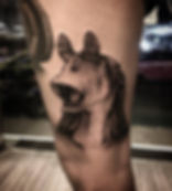 19424429_1597914750230806_29877511651345